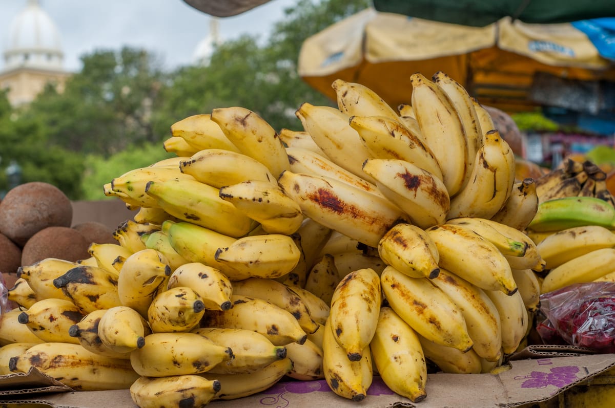 Régimes de bananes mûres sur un étal