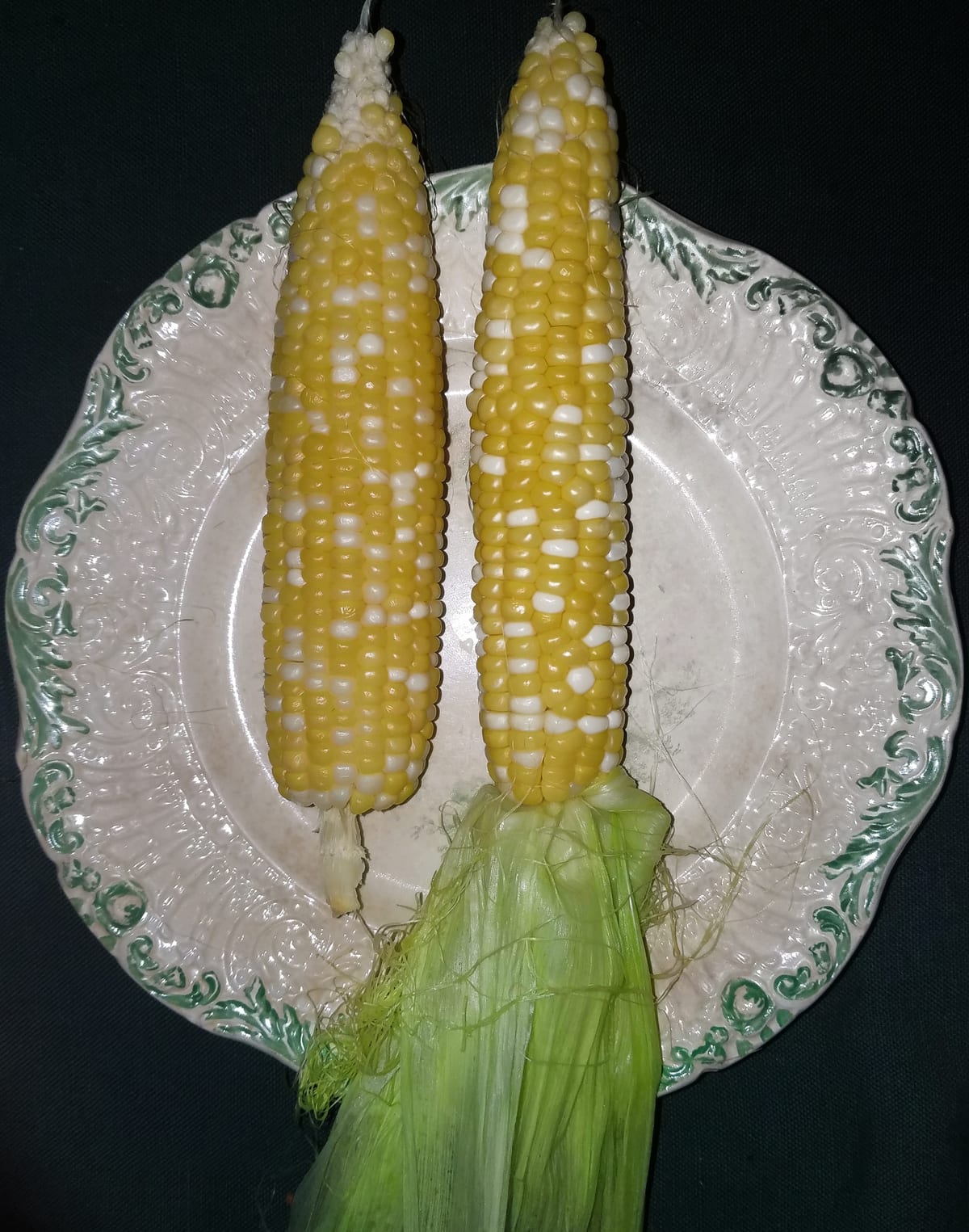 Deux épis de maïs cuits sur une assiette