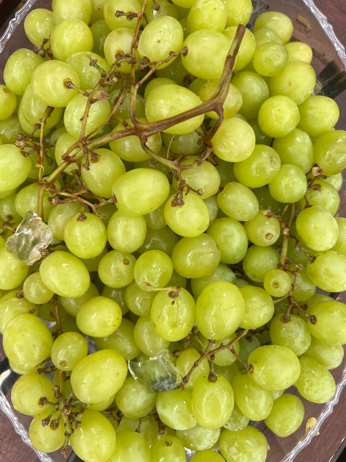 Grappe de raisins blancs frais, toxique pour le chien