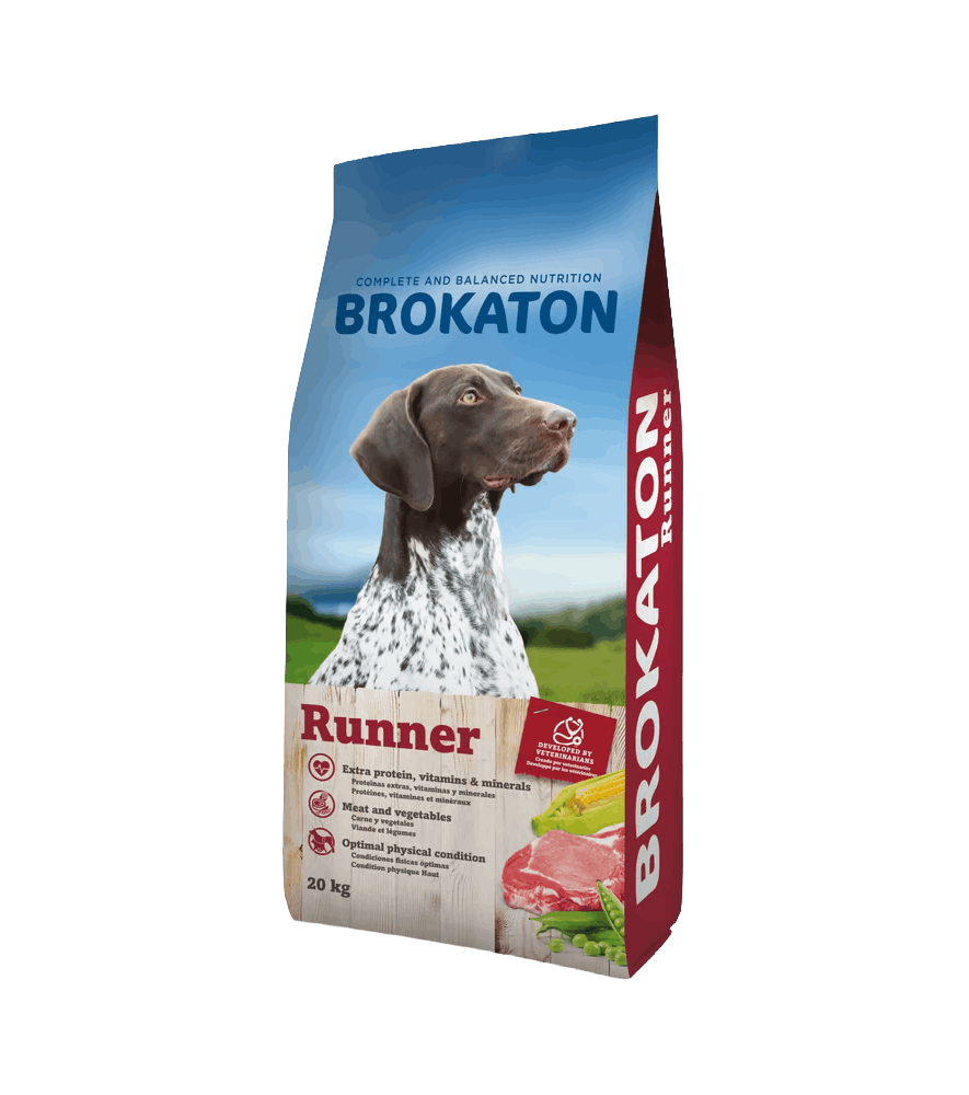 Brokaton Runner Chien