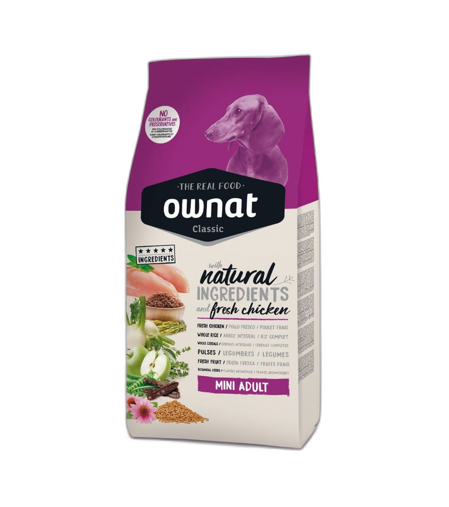 OWNAT Mini Adult Chien