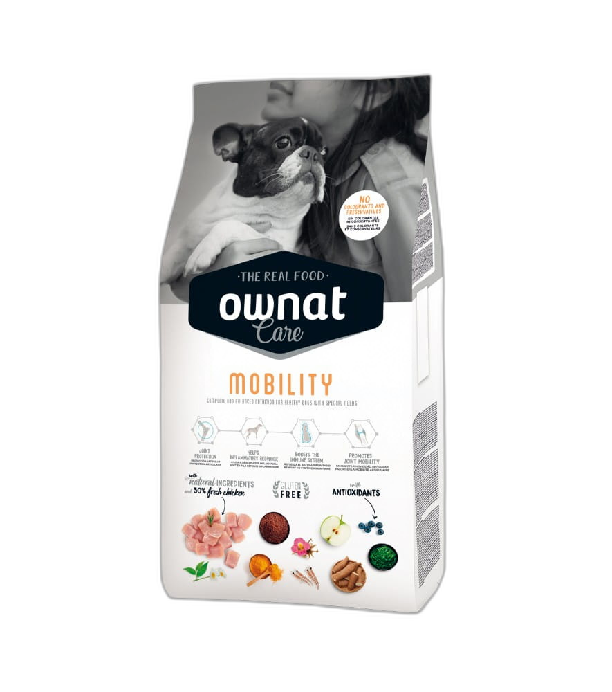 OWNAT Care Mobility Chien