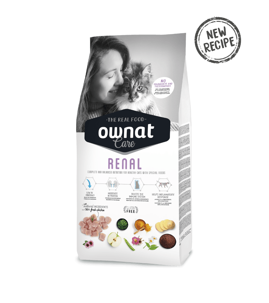 Ownat Care Renal Chat